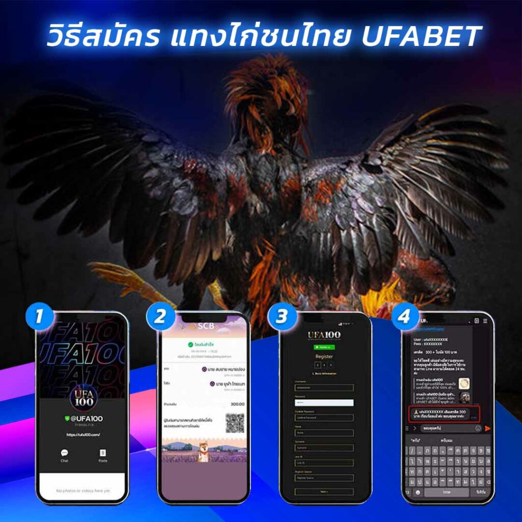 UFA100_register-thai-cockfighting-ufabet